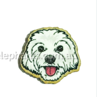 White Shih Tzu