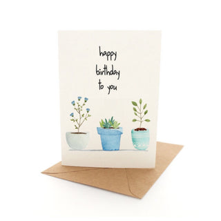 PLEASANT TREE - BIRTHDAY PLANTS