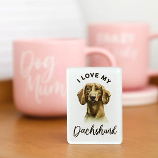 Splosh Dog Magnets