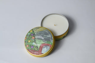 BALLARAT PINE (CHRISTMAS TREE)