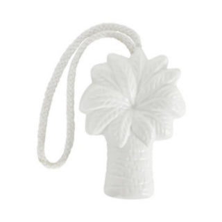 SOAP ON ROPE