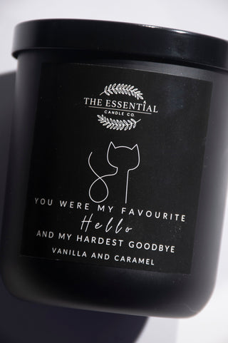 IN LOVING MEMORY (MY FAVOURITE HELLO CAT EDITION)