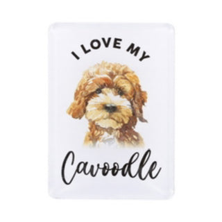 CAVOODLE MAGNET