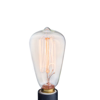 GLOBE - NP3 EDISON GLOBE REPLACEMENT