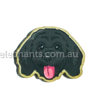 Black Cavoodle Earrings