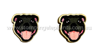 STAFFY BLACK STUDS