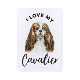 CAVALIER MAGNET