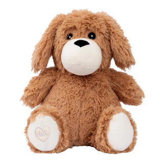 BISCUIT PUPPY
