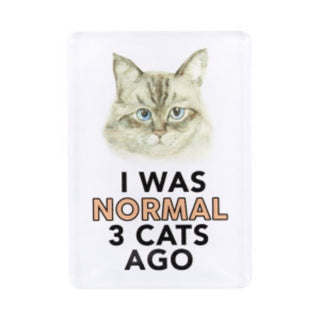 I WAS NORMAL 3 CATS AGO MAGNET