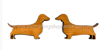 NATURAL DACHSHUND STUDS