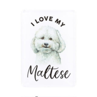 MALTESE MAGNET