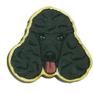Black poodle