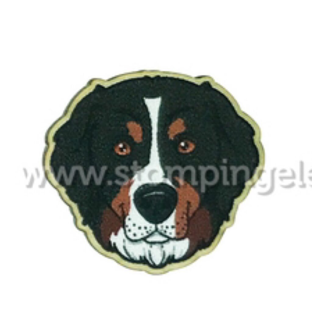 BERNESE MOUNTAIN DOG